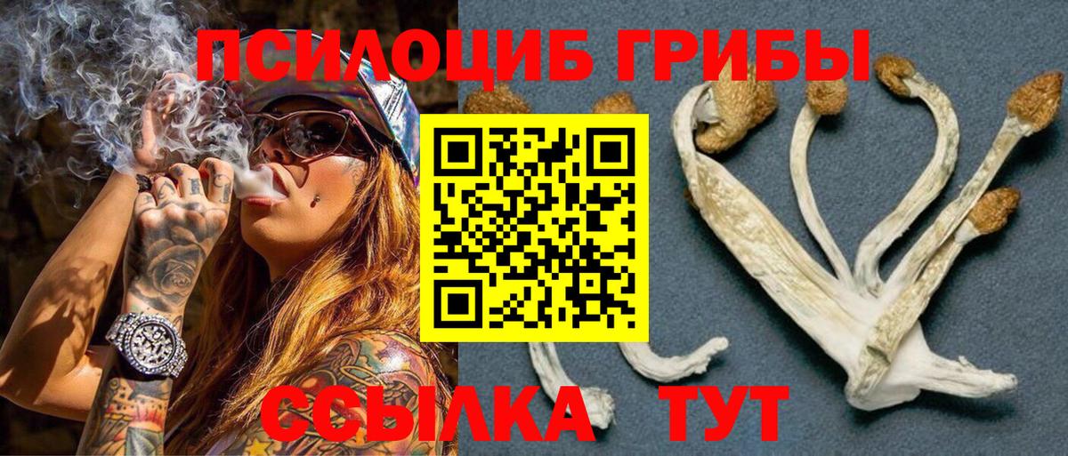 Псилоцибиновые грибы Magic Shrooms Вологда